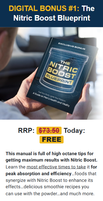 the nitric boost blueprint